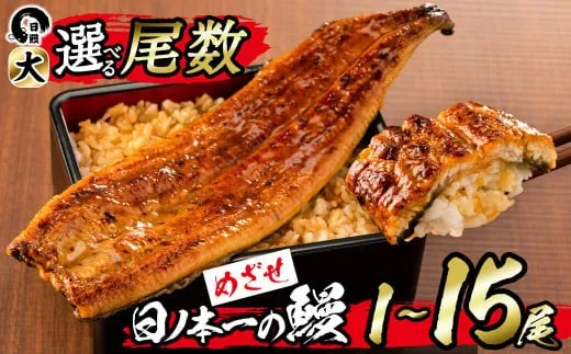 【尾数が選べる！】うなぎ生産量日本一の鹿児島県産！日ノ本一の鰻の蒲焼き＜大＞1尾～15尾！